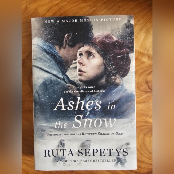 Other - Ashes in the Snow Book